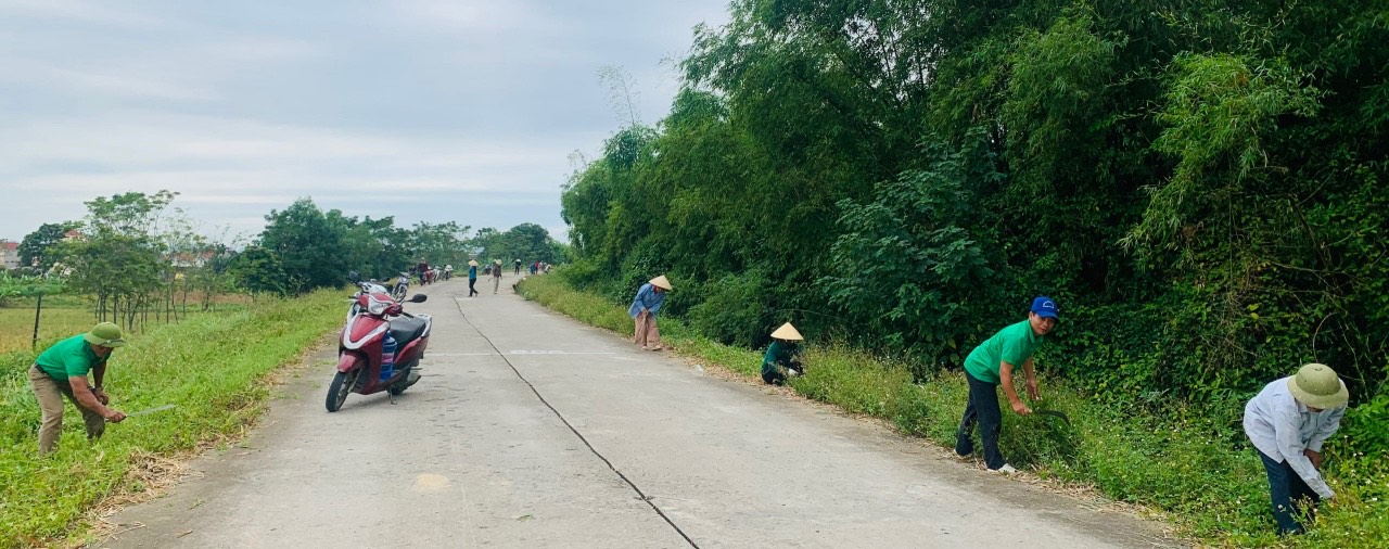 dọn vs.jpg