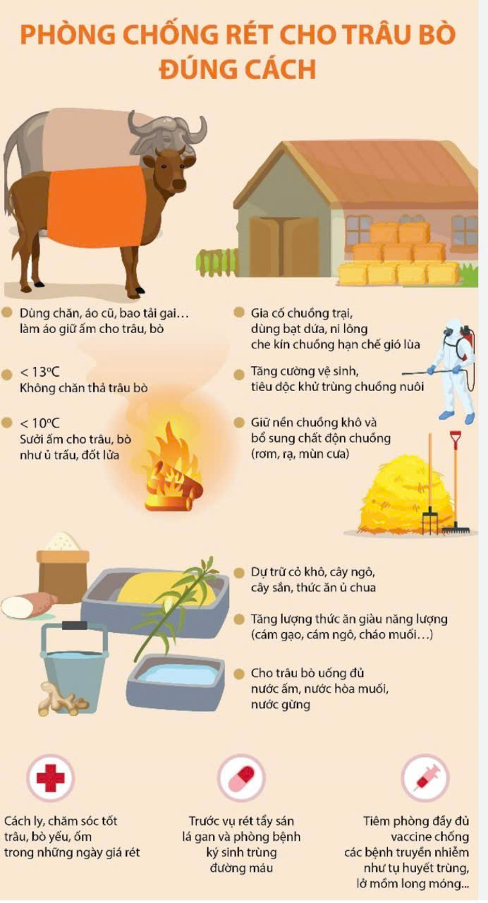 THÔNG BÁO Về tình hình chăn nuôi và cách phòng chống dịch bệnh và chống rét cho đàn gia súc, gia cầm