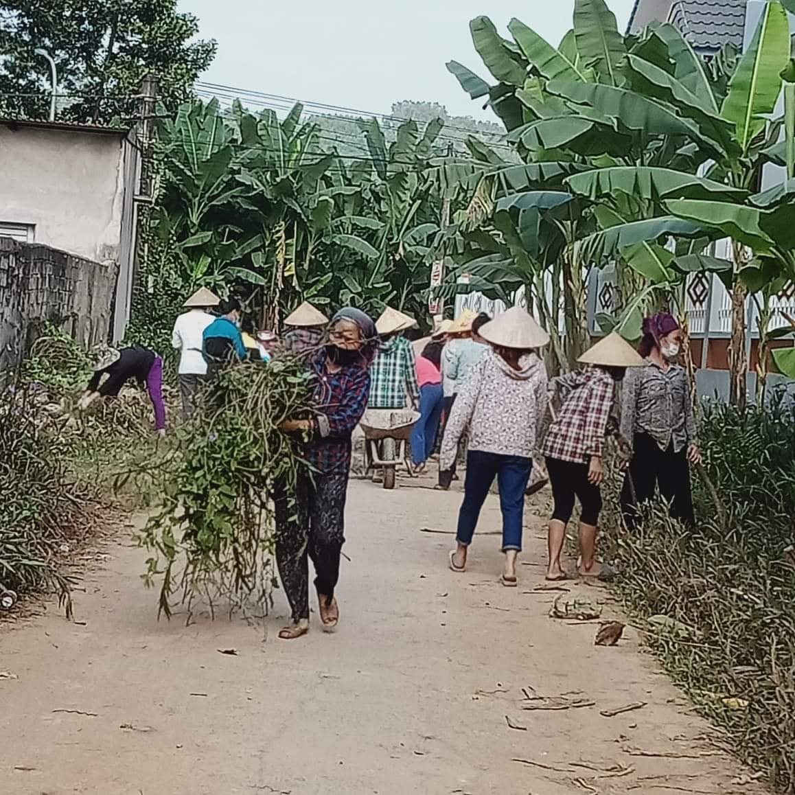 Dọn VS 2.jpg