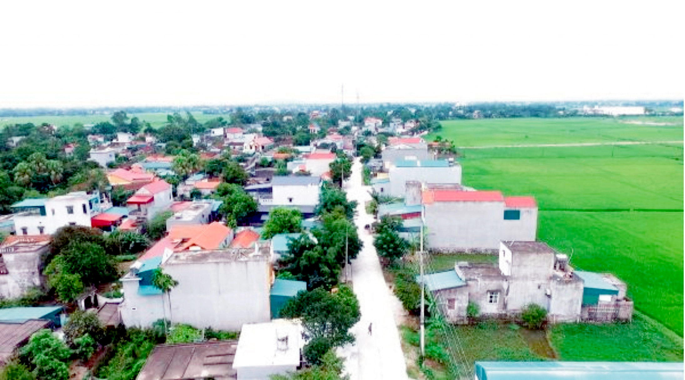 quê Đông Vinh.jpg