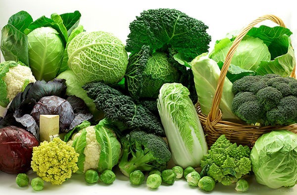 TUYÊN TRUYỀN VỆ SINH AN TOÀN THỰC PHÂM.