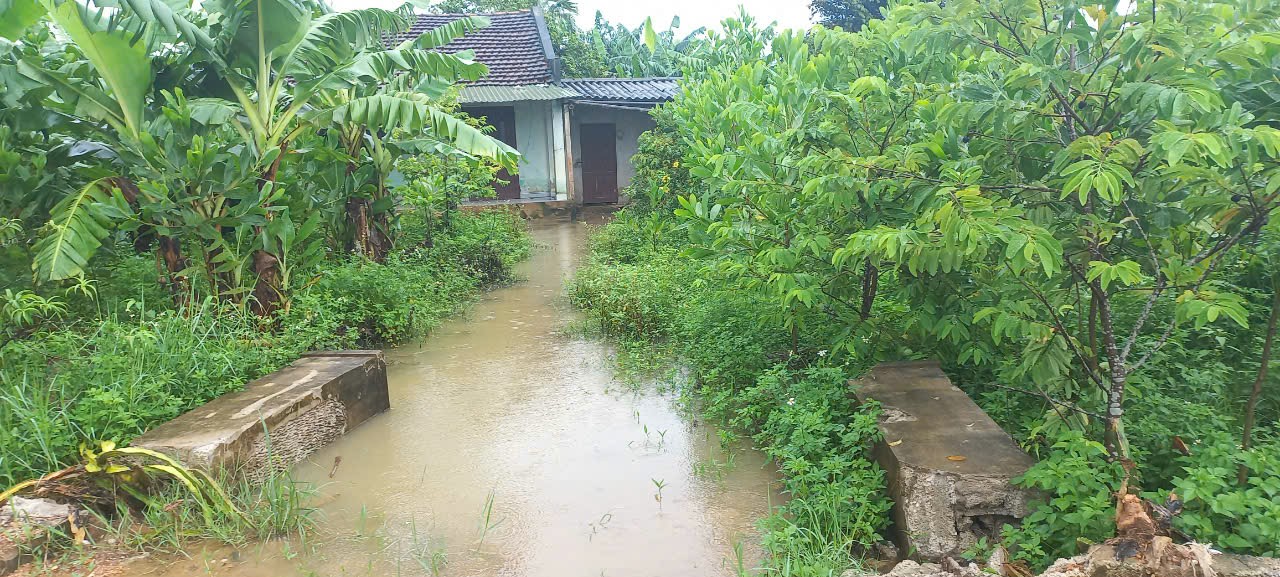 TUYÊN TRUYỀN VỆ SINH AN TOÀN THỰC PHẨM MÙA MƯA BÃO