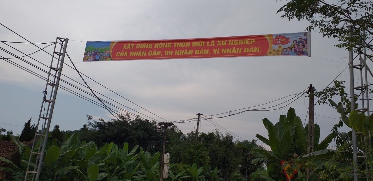 ảnh ntm3.jpg