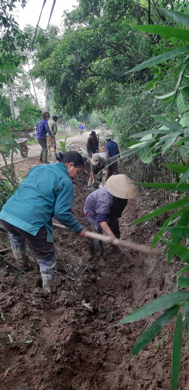 ảnh đg1.jpg