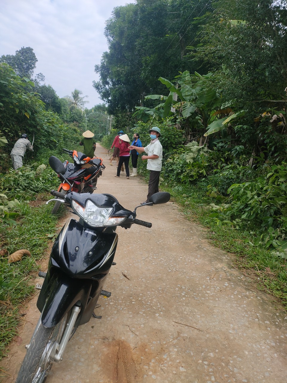 ảnh đg5.jpg