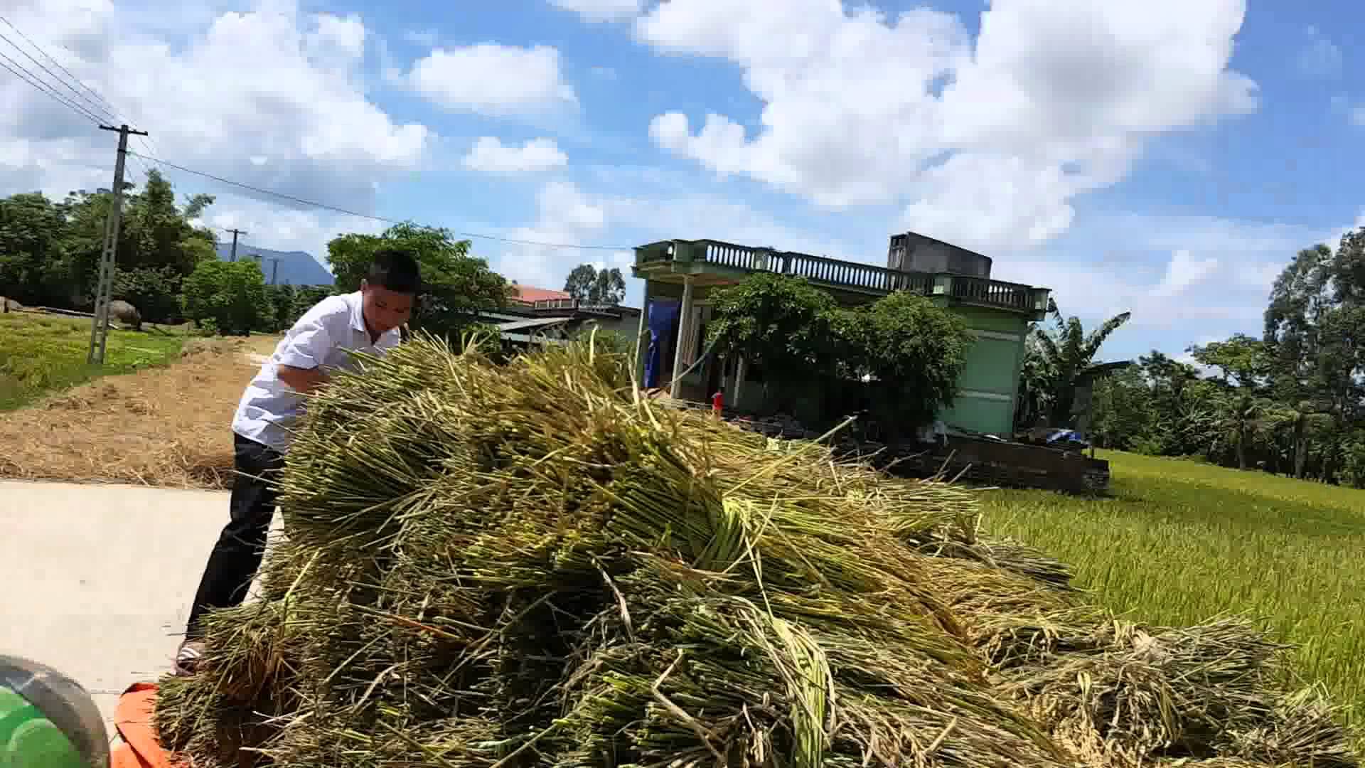Giới thiệu tổng quan về xã Thọ Phú