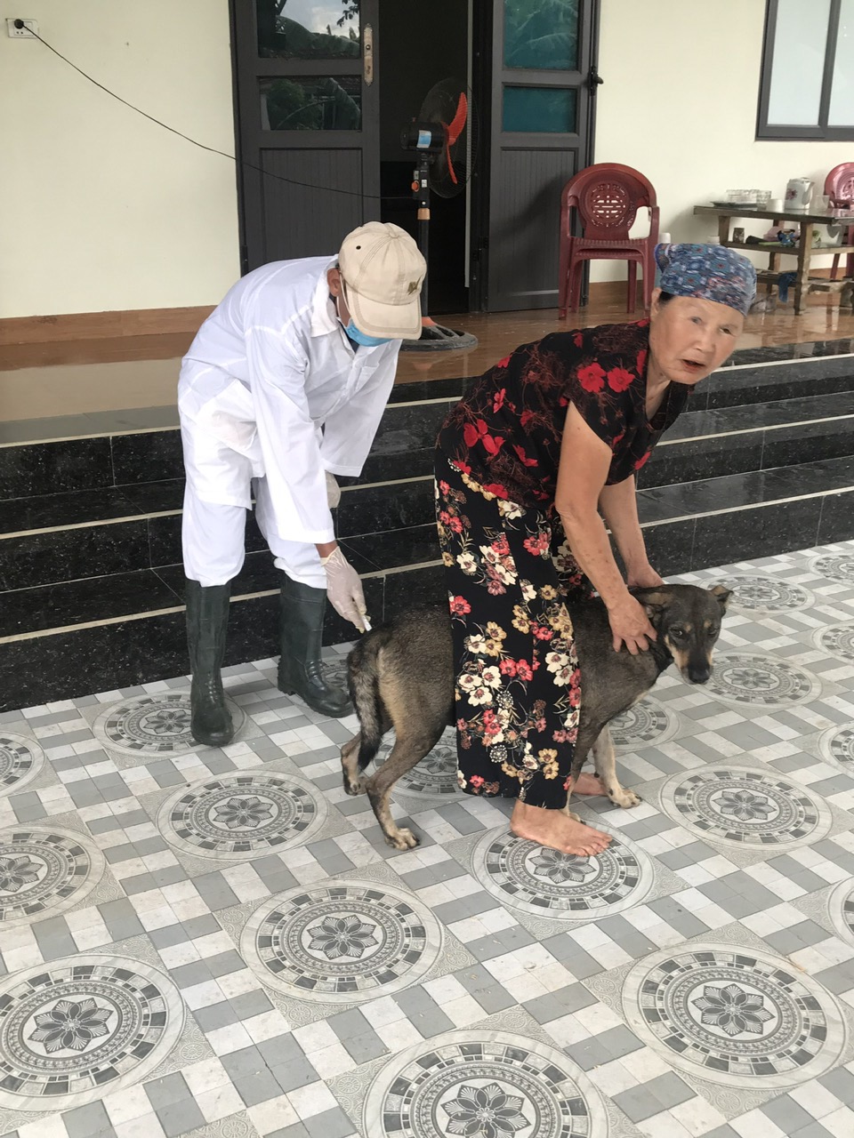 Anh-tin-bai