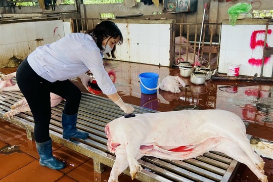 Bài tuyên truyền đảm bảo Vệ sinh An toàn thực phẩm