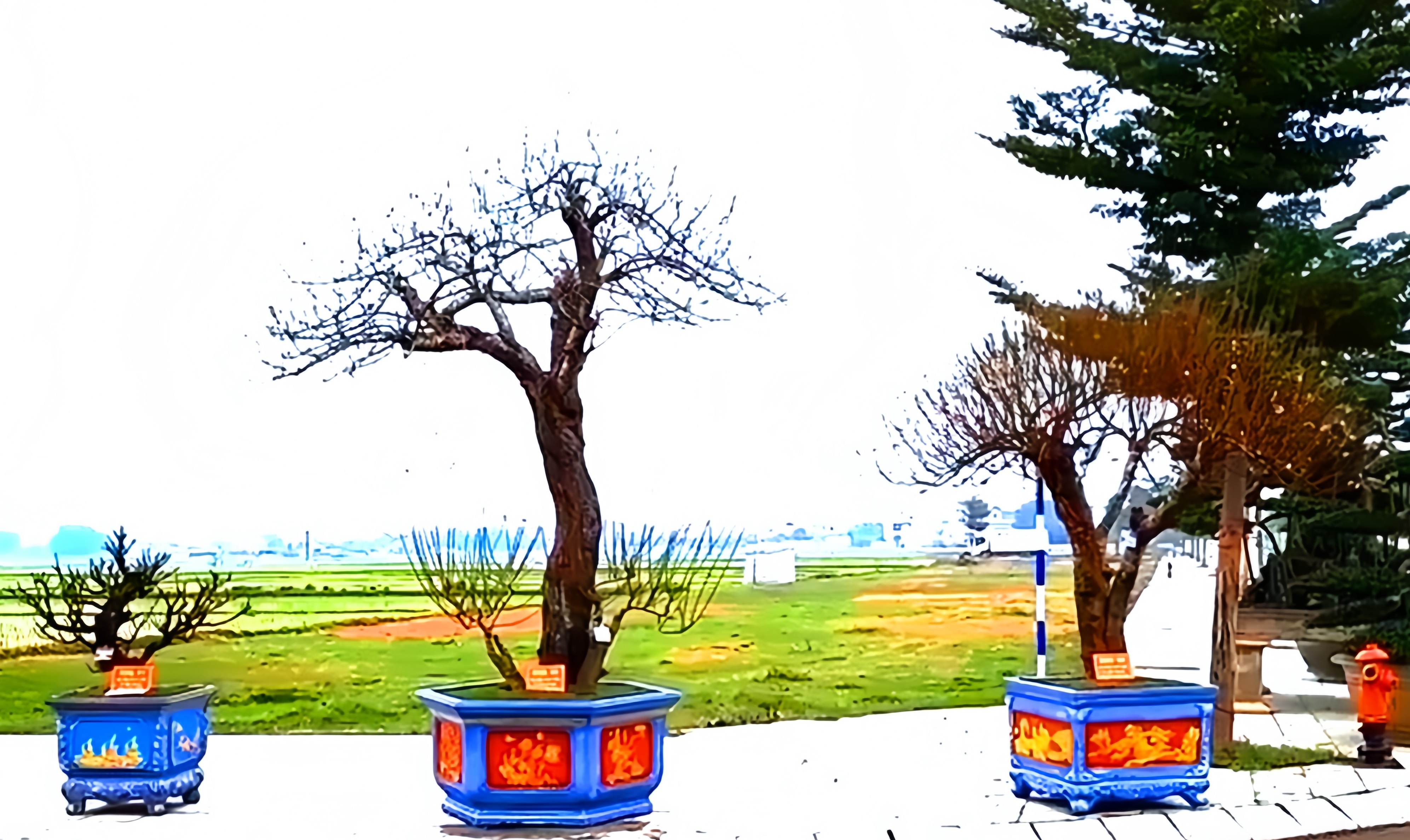 Anh-tin-bai
