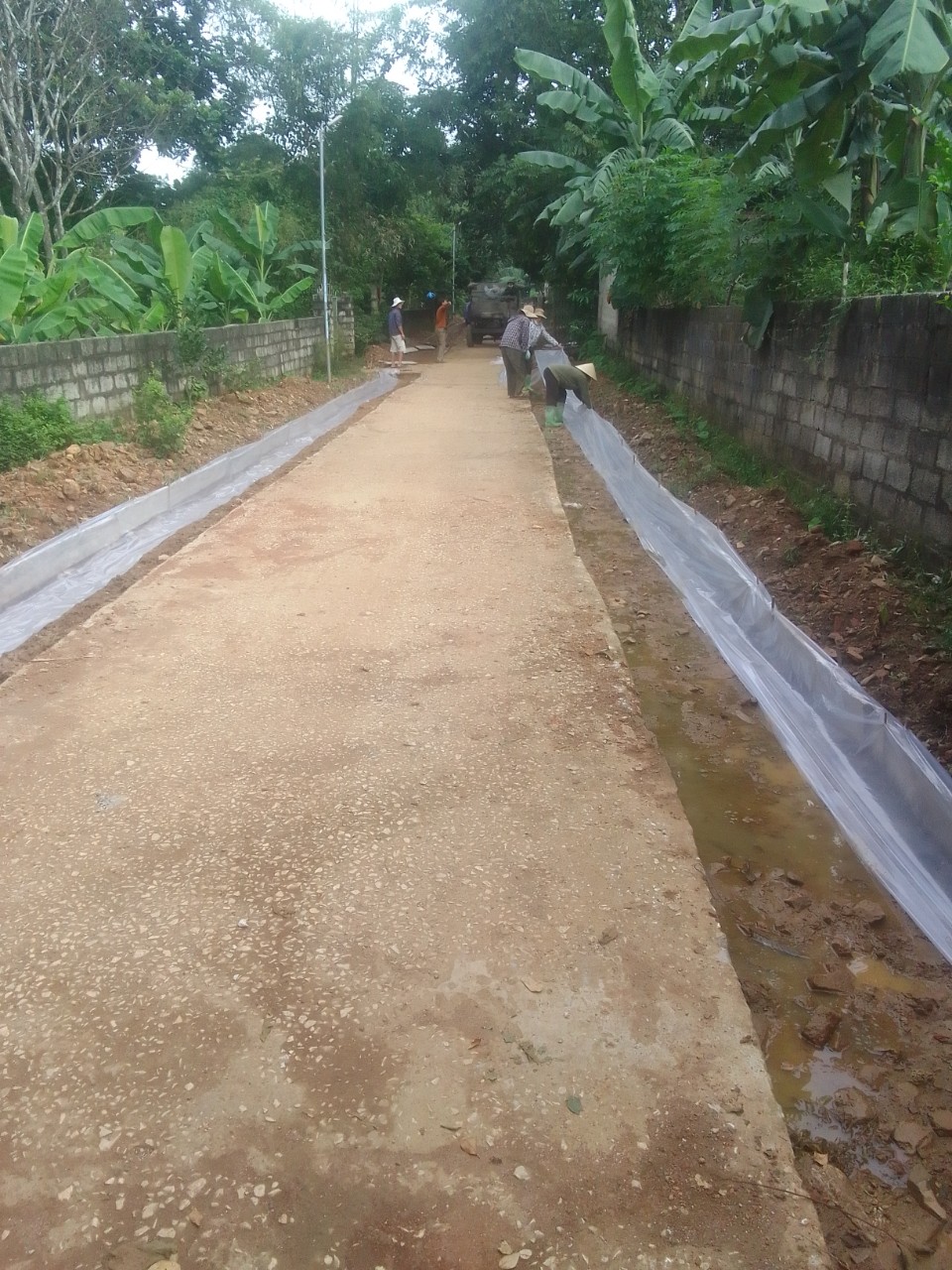 Đồng Ngư 4.jpg
