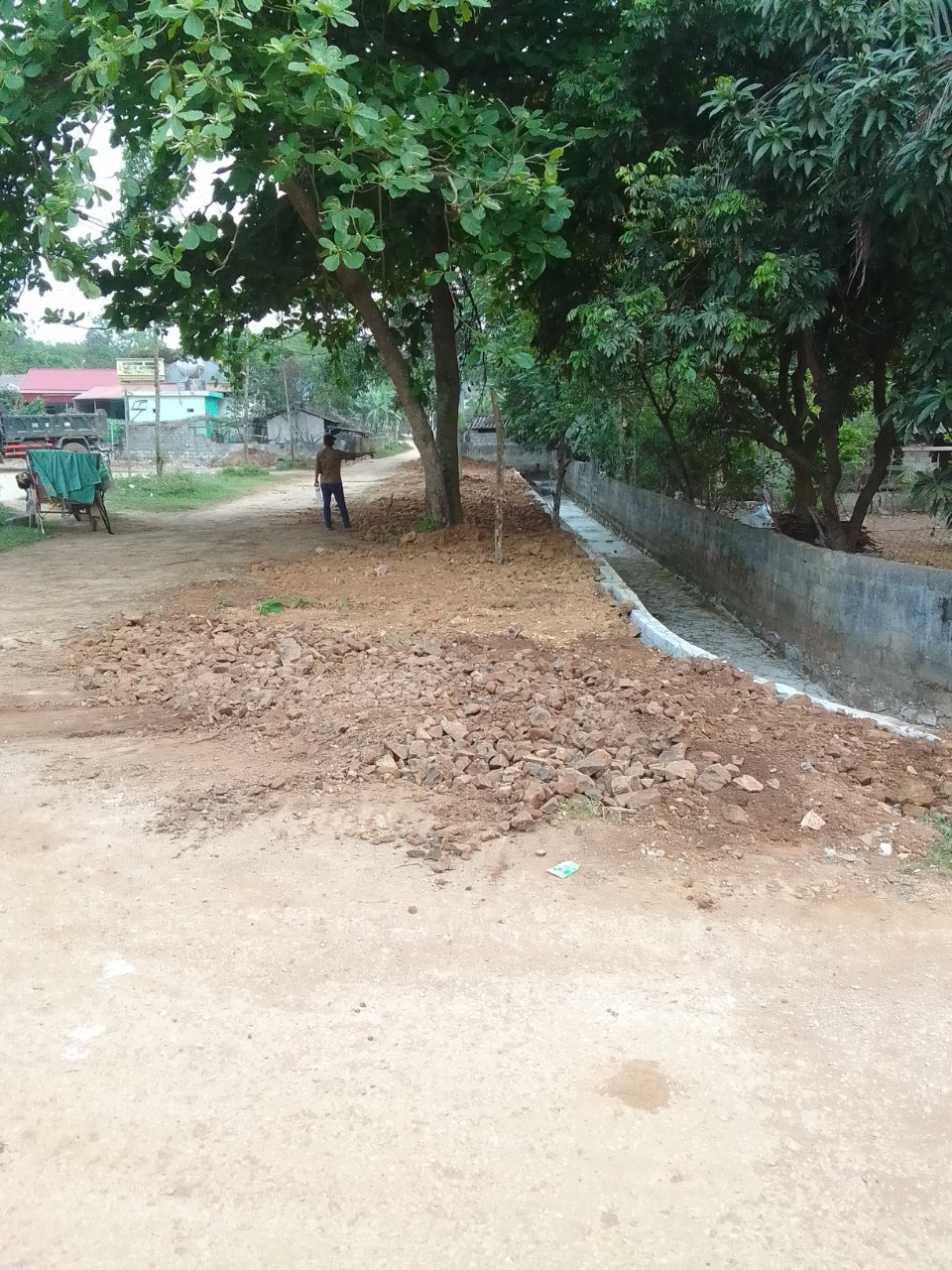 Đồng Ngư1.jpg