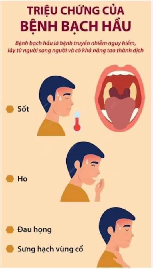 bạch 1.jpg