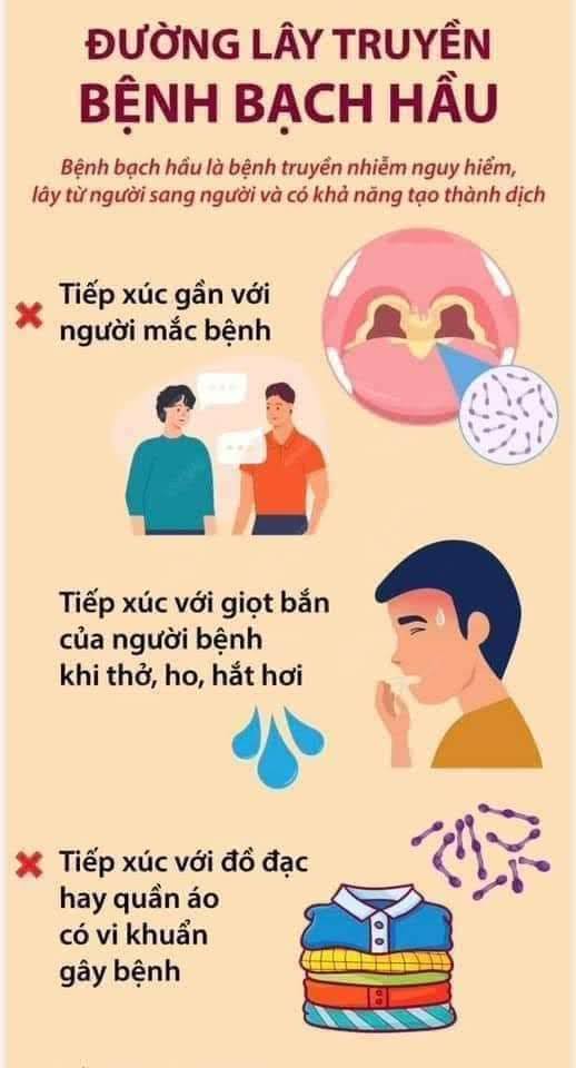 bạch 2.jpg