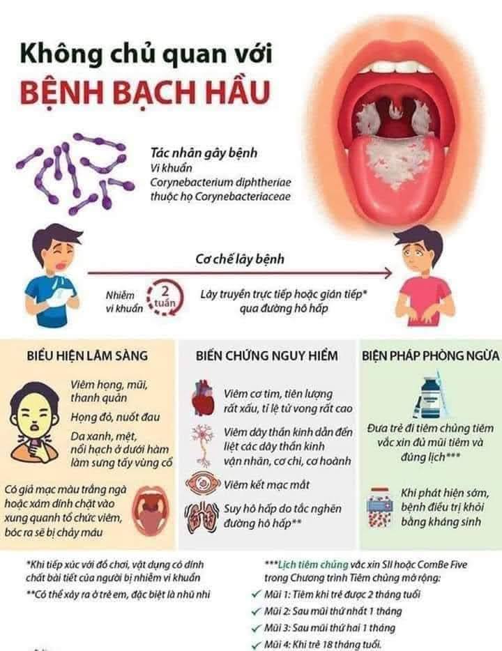 bạch 3.jpg