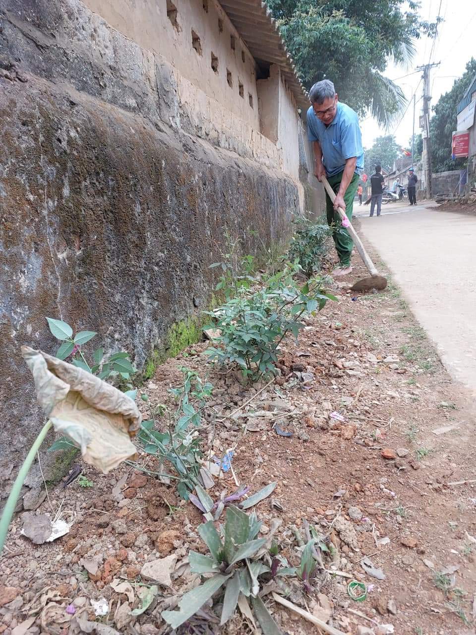 TRỒNG HOA.jpg