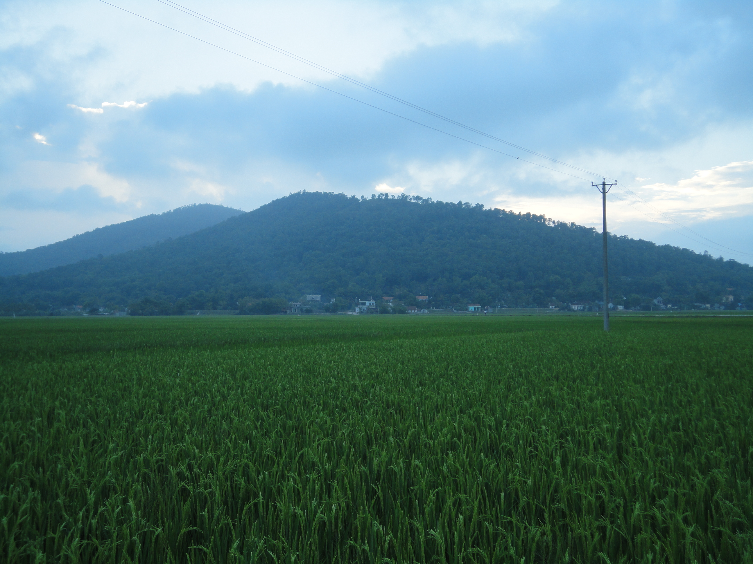 DSC05466.JPG