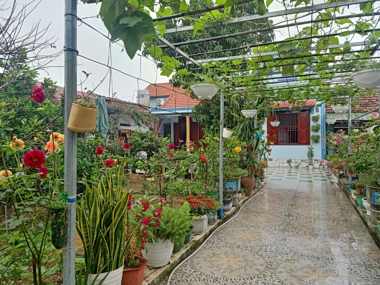 z5317575535640_b4248b044e1a4a48d7f85a68332b0abf.jpg