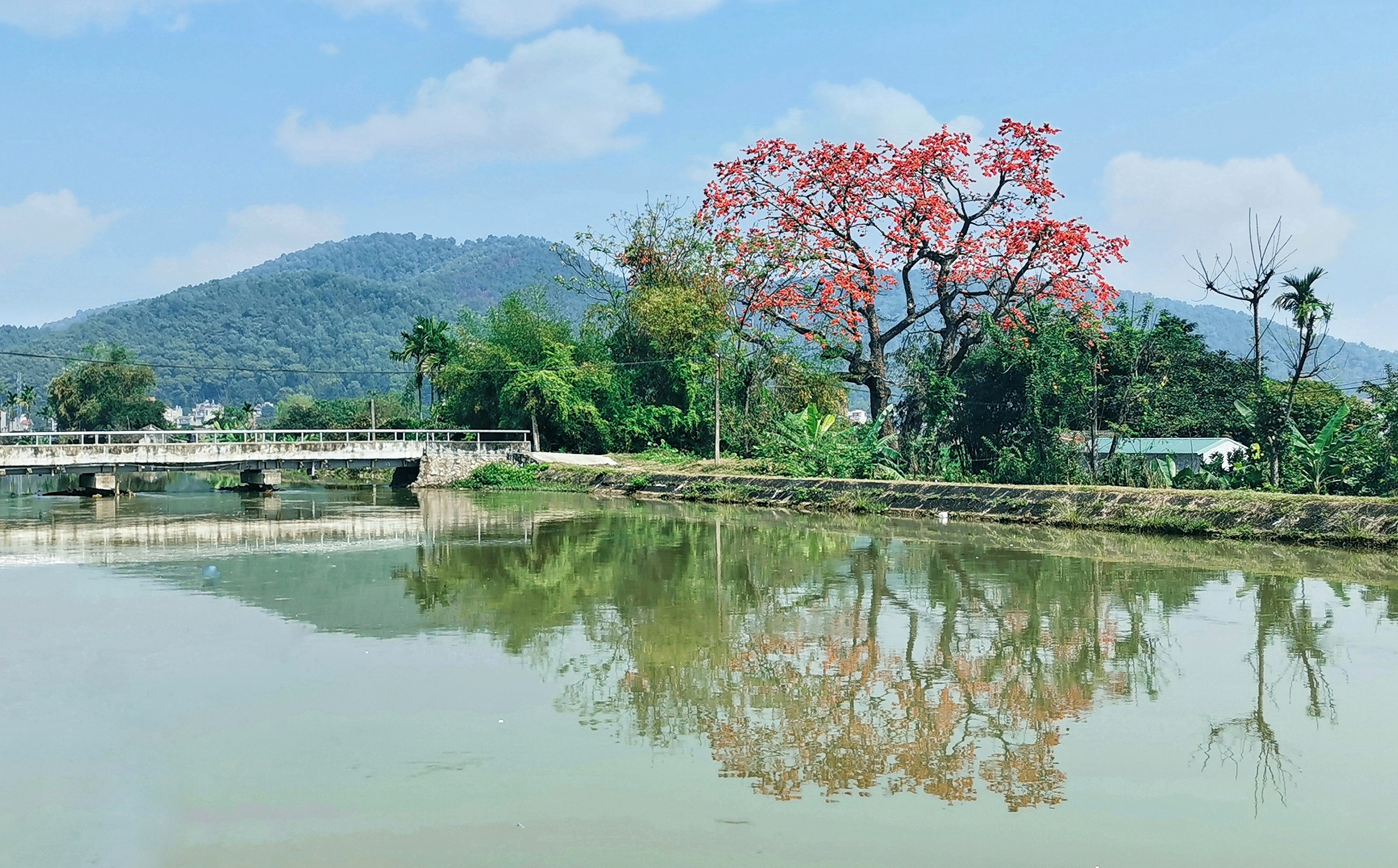 Giới thiệu chung về phường Đông Tân