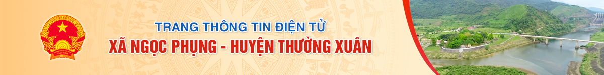 image banner