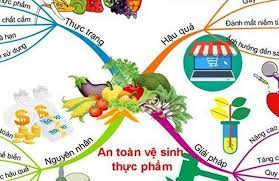 Đảm bảo an toàn thực phẩm thức ăn đường phố và hộ kinh doanh dịch vụ ăn uống