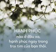 tải xuống.jpg