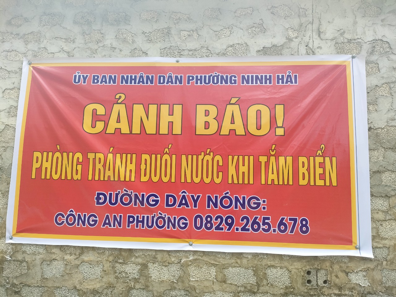 a5.jpg