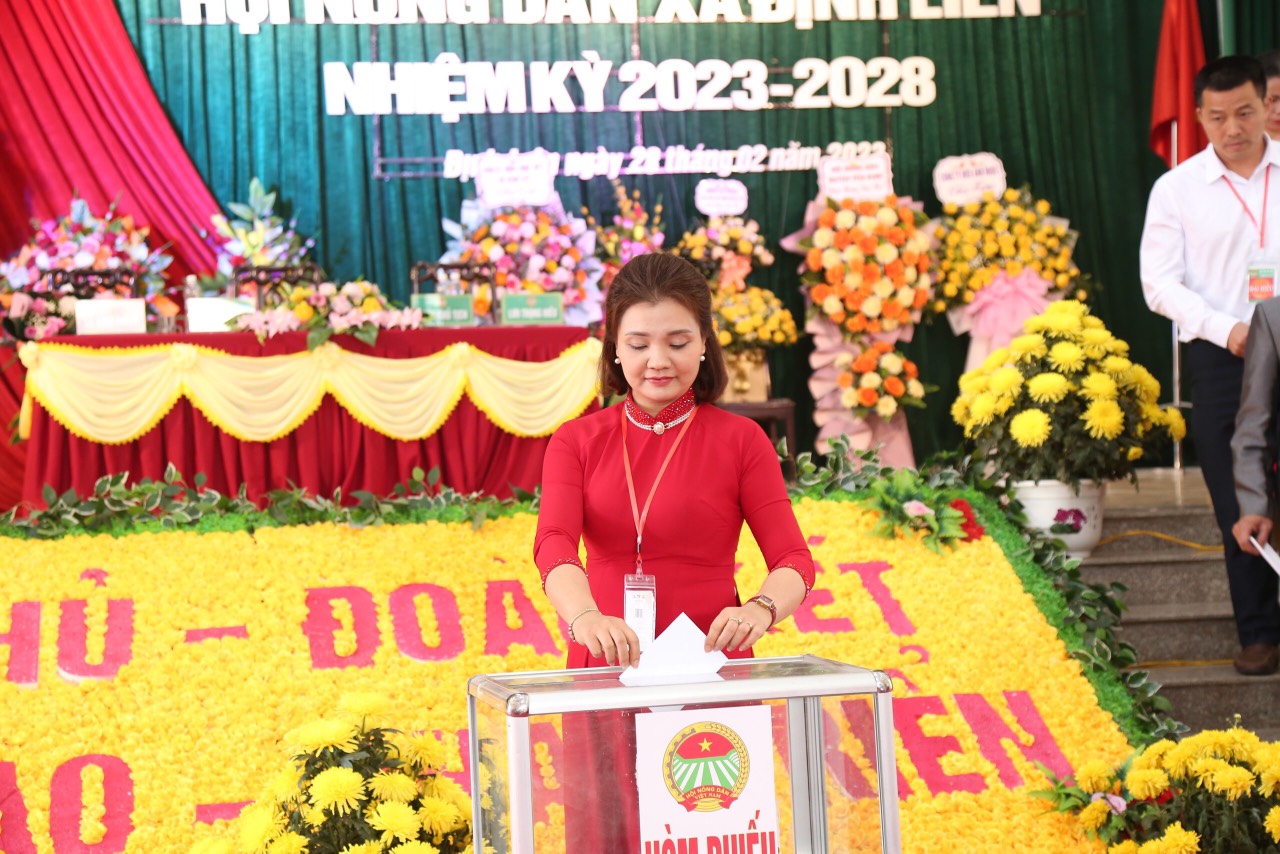 Ảnh bầu cử.jpg