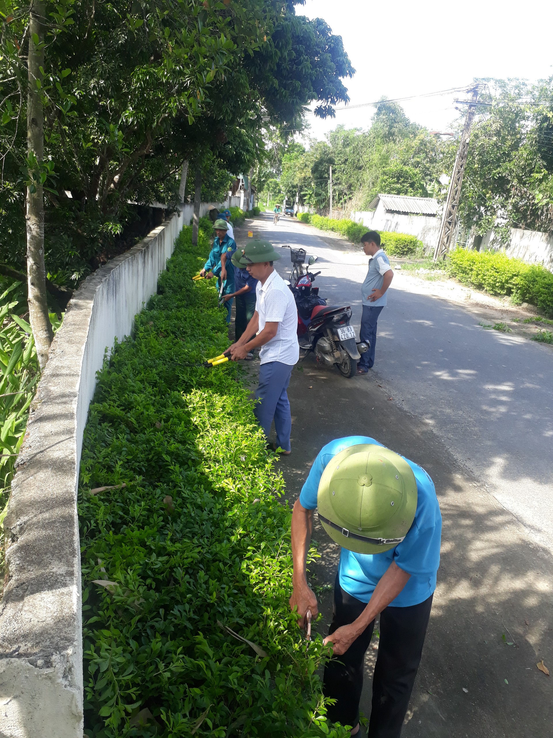 HỘI CCB XÃ YÊN TRƯỜNG THAM GIA XÂY DỰNG NÔNG THÔN MỚI