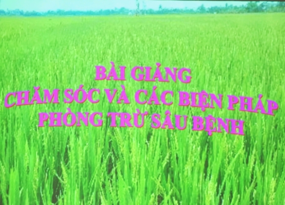 HỘI NGHỊ TẬP HUẤN KỸ THUẬT CHĂM SÓC VÀ PHÒNG TRỪ SÂU BỆNH HẠI TRÊN CÂY LÚA VỤ MÙA NĂM 2024.