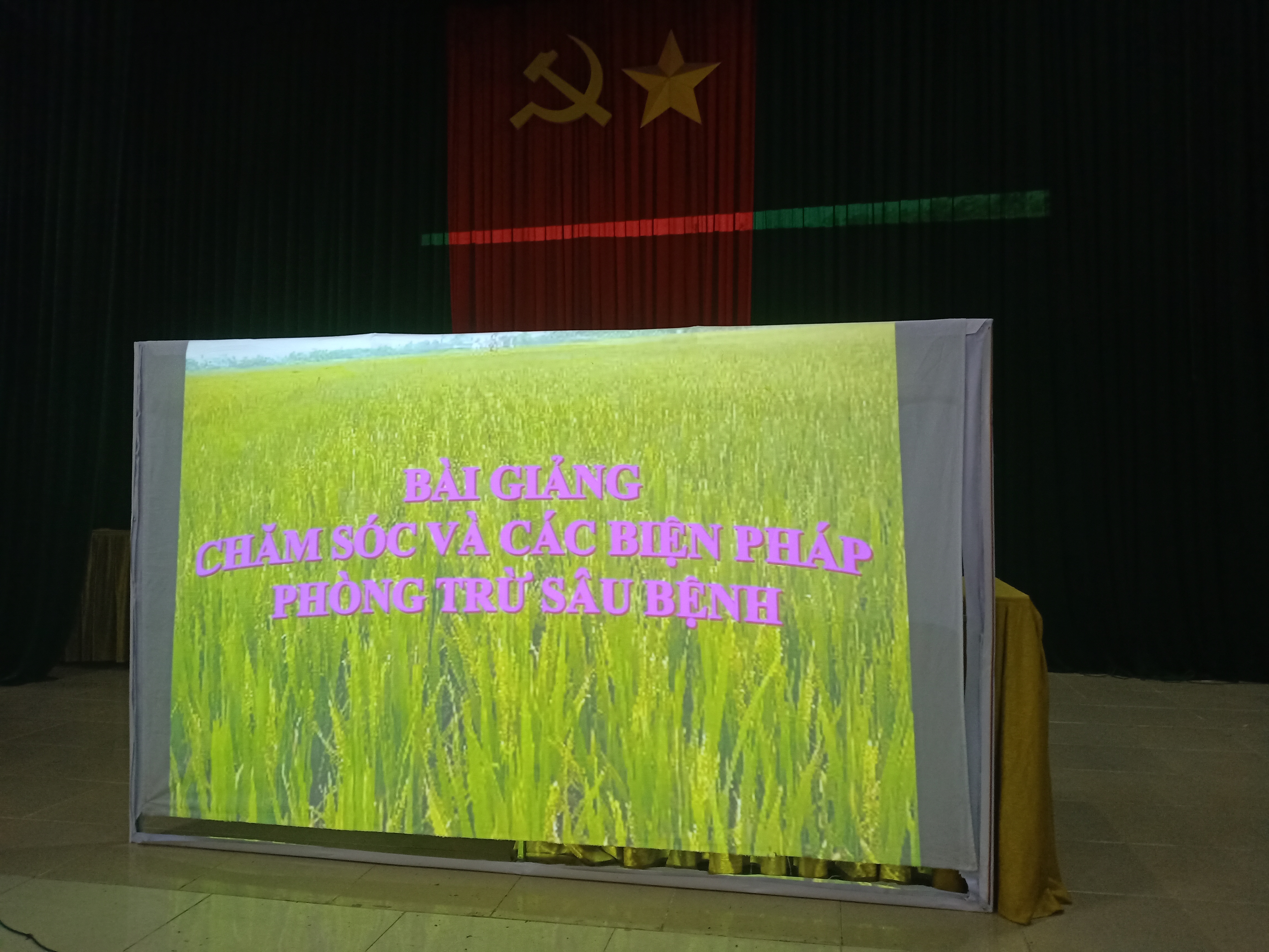 IMG20240315083241.jpg