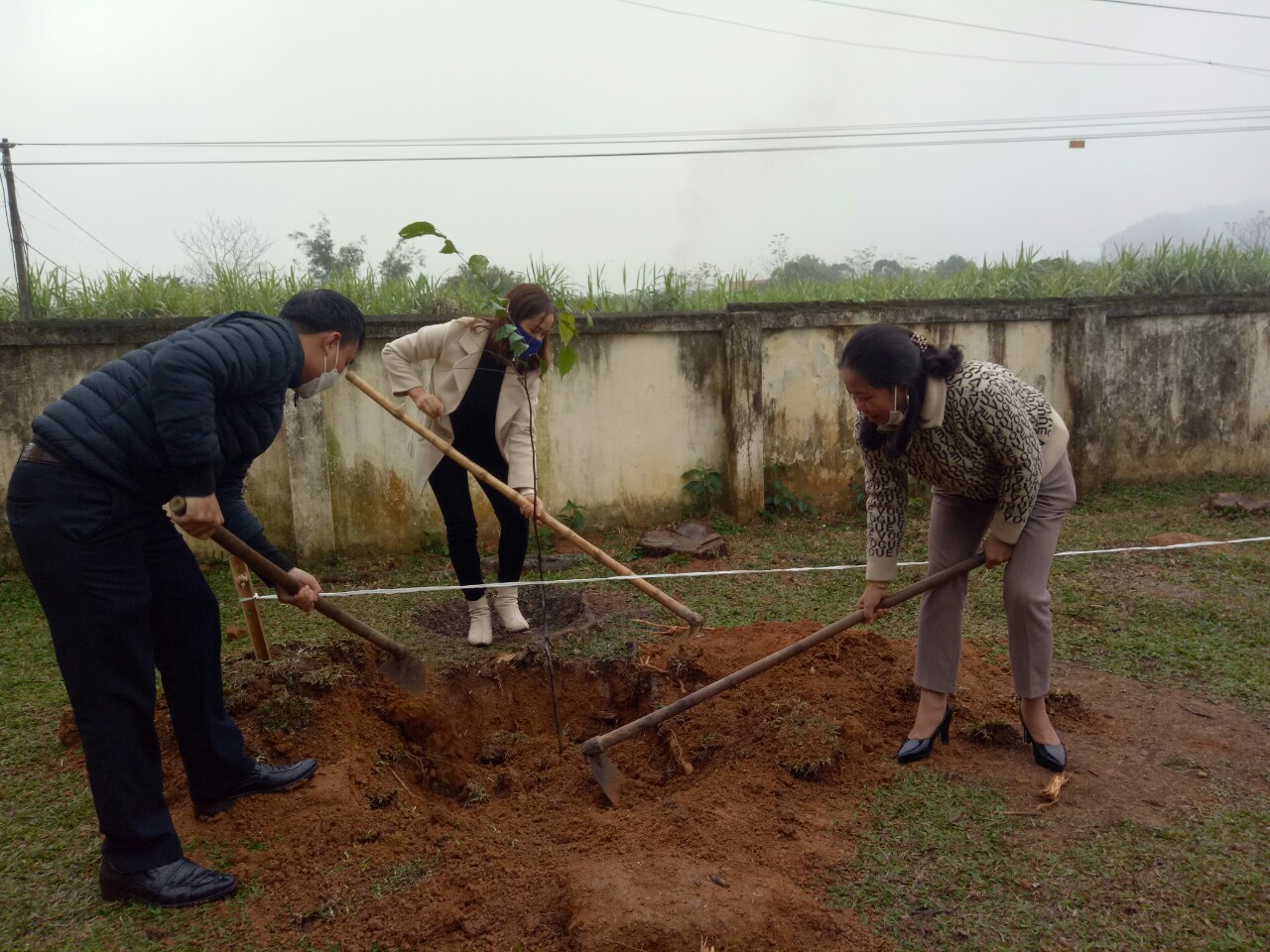 tết trồng cây 3.jpg