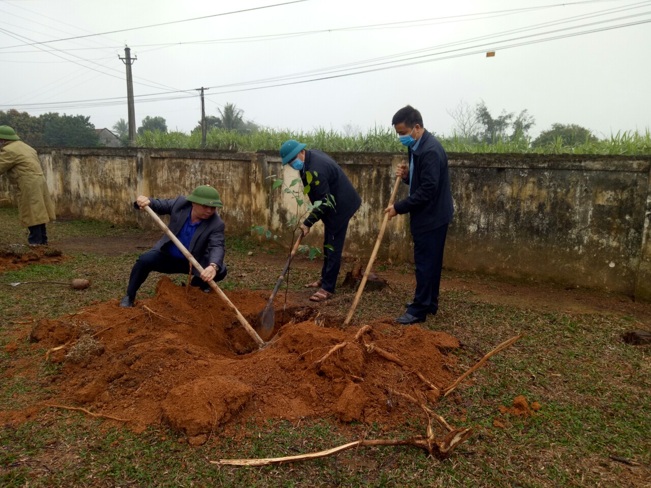 tết trồng cây 5.jpg