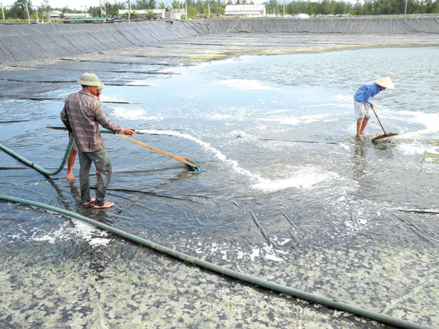 HƯỚNG DẪN Cải tạo ao đầm, khung lịch mùa vụ nuôi trồng thủy sản năm 2025
