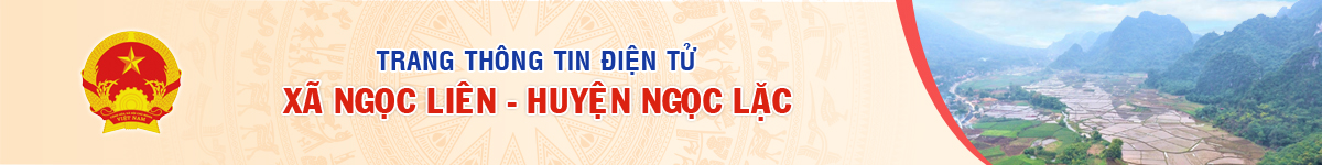image banner