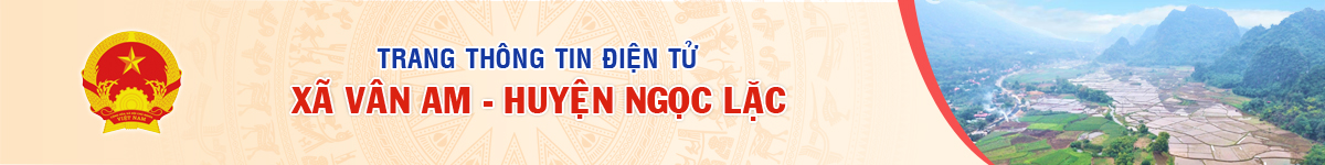 image banner