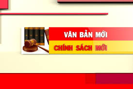 Một số chính sách nổi vật từ tháng 12/2021