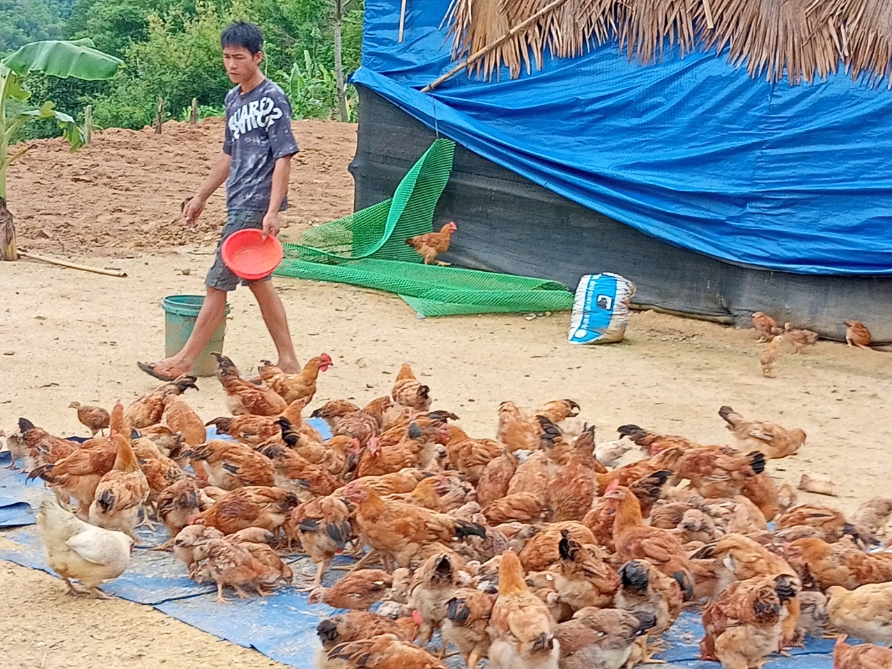 Từ mô hình chăn nuôi, trồng trọt theo hình thức vườn ao chuồng
