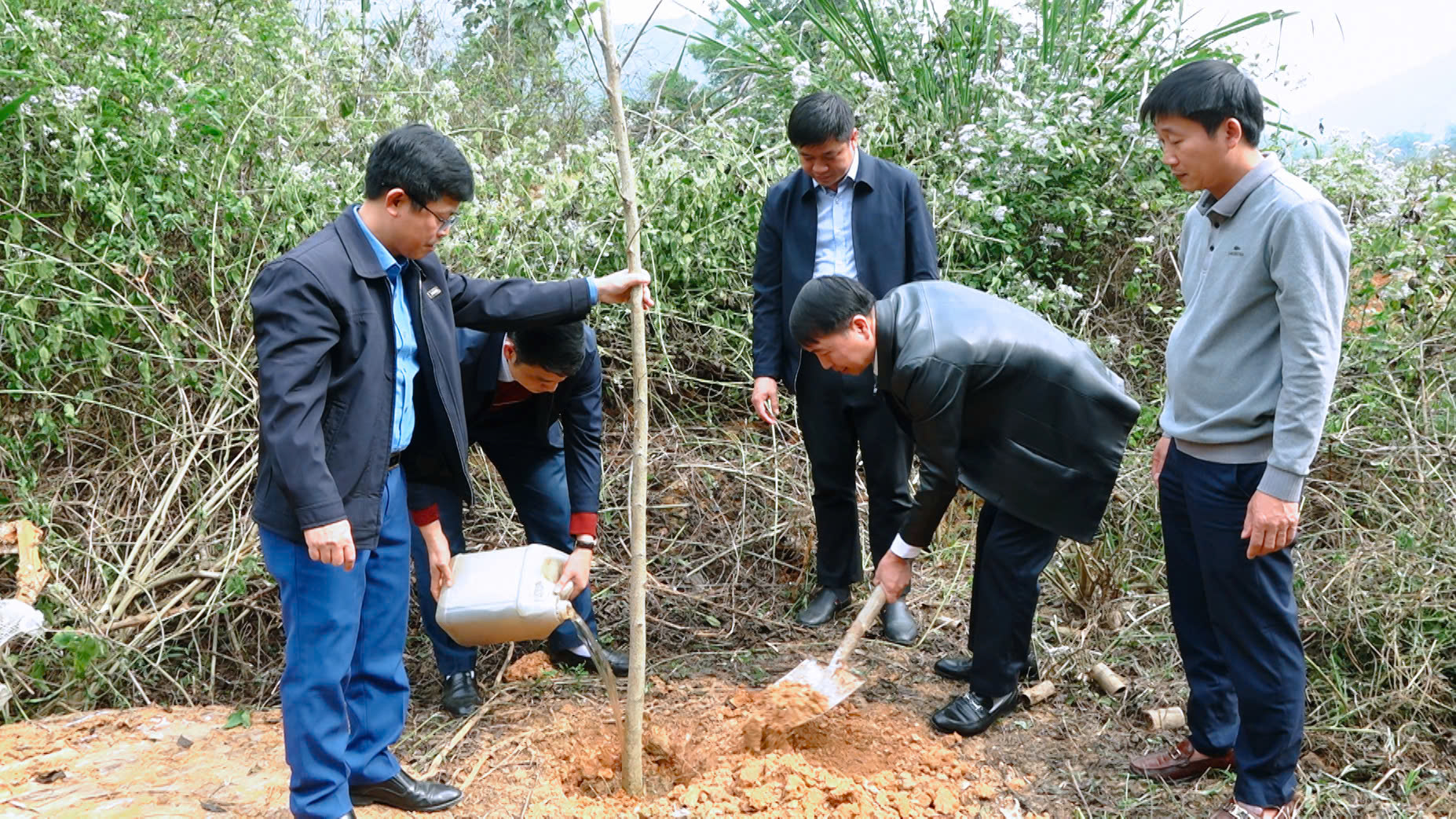 https://quanson.thanhhoa.gov.vn/portal/Photos/2024-12-28/df5a0b482f9cea0dz6173699279365_b7a481f9795e7e1e6c74d507273fb9b4.jpg