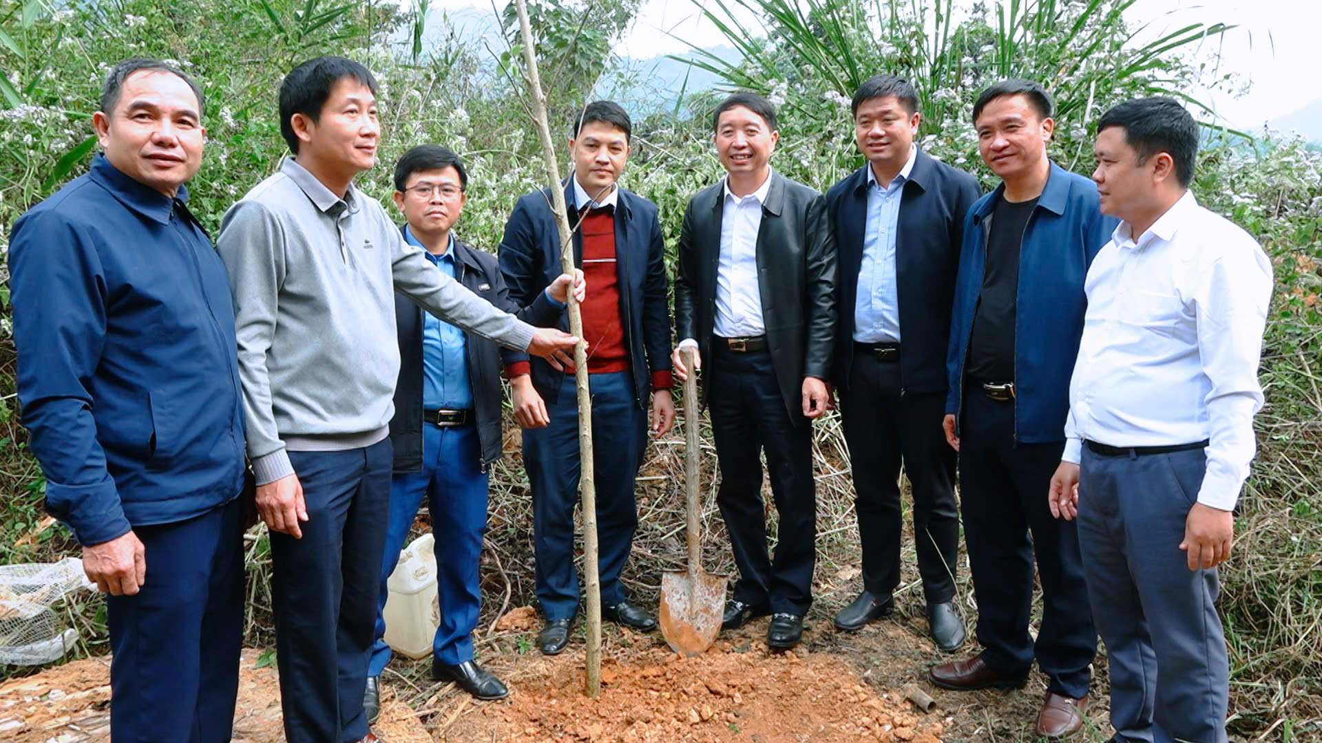 https://quanson.thanhhoa.gov.vn/portal/Photos/2024-12-28/ff5fcadda75c95edz6173699290869_ca6b43b9ad8508ce1e81e57396c6be02.jpg