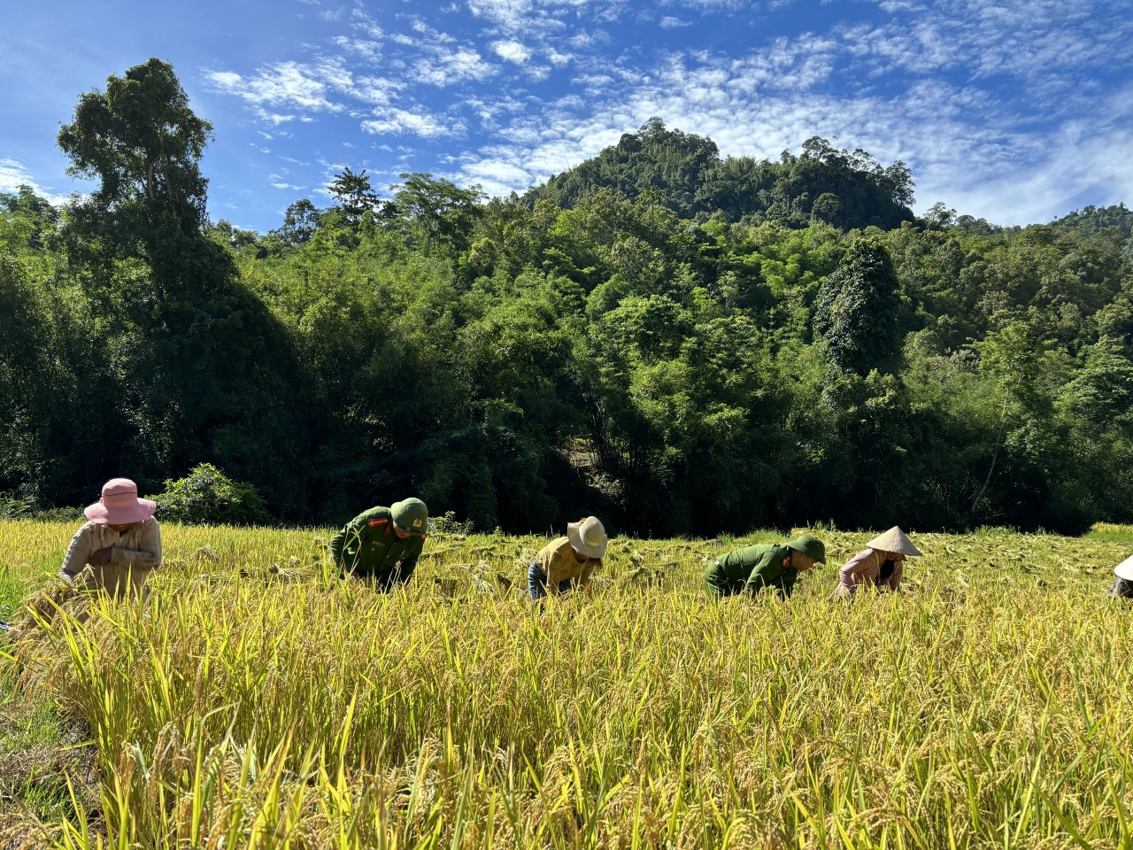 Công an xã Na Mèo đồng hành cùng bà con dân bản những ngày mùa Tháng 6