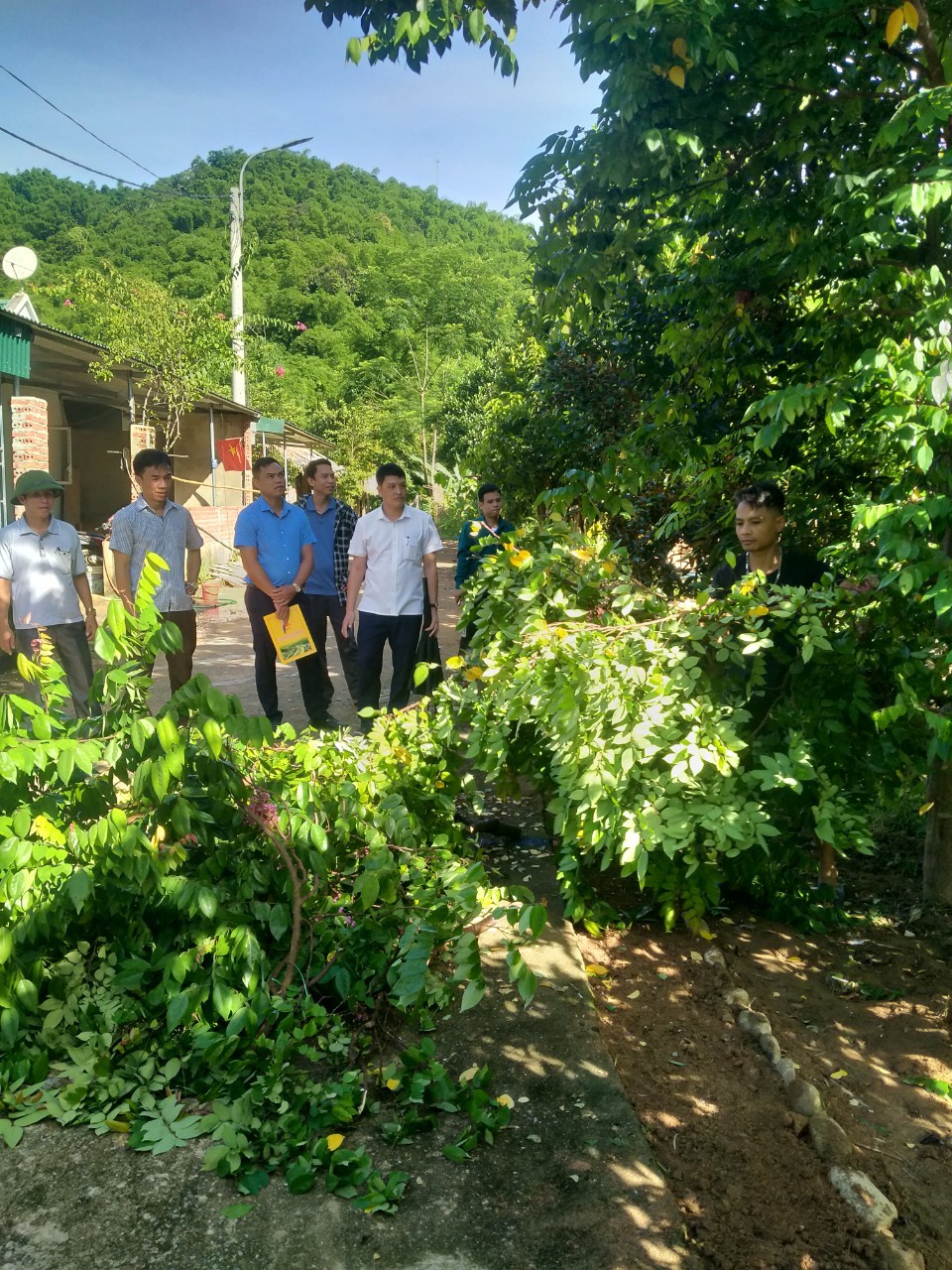 MTTQ, các đoàn thể xã cùng nhân dân các bản tích cực trong công tác xây dựng mô hình hàng rào xanh, đường hoa, cây cảnh.