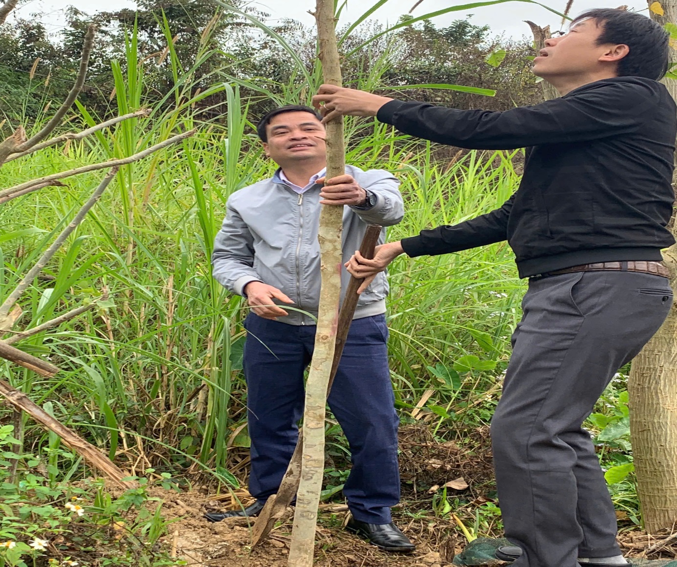 C:\Users\User\Pictures\ẢNH CHUYÊN\z6285666491741_d6528b3a9e4006ac39c40fad45cdf33f.jpg