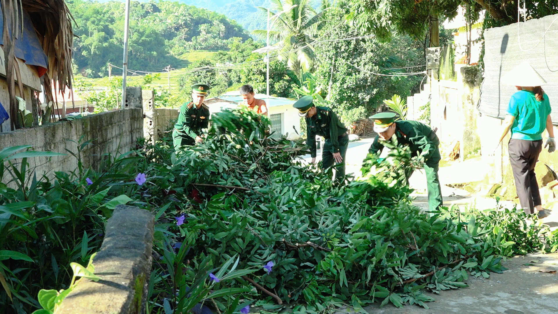 Anh-tin-bai