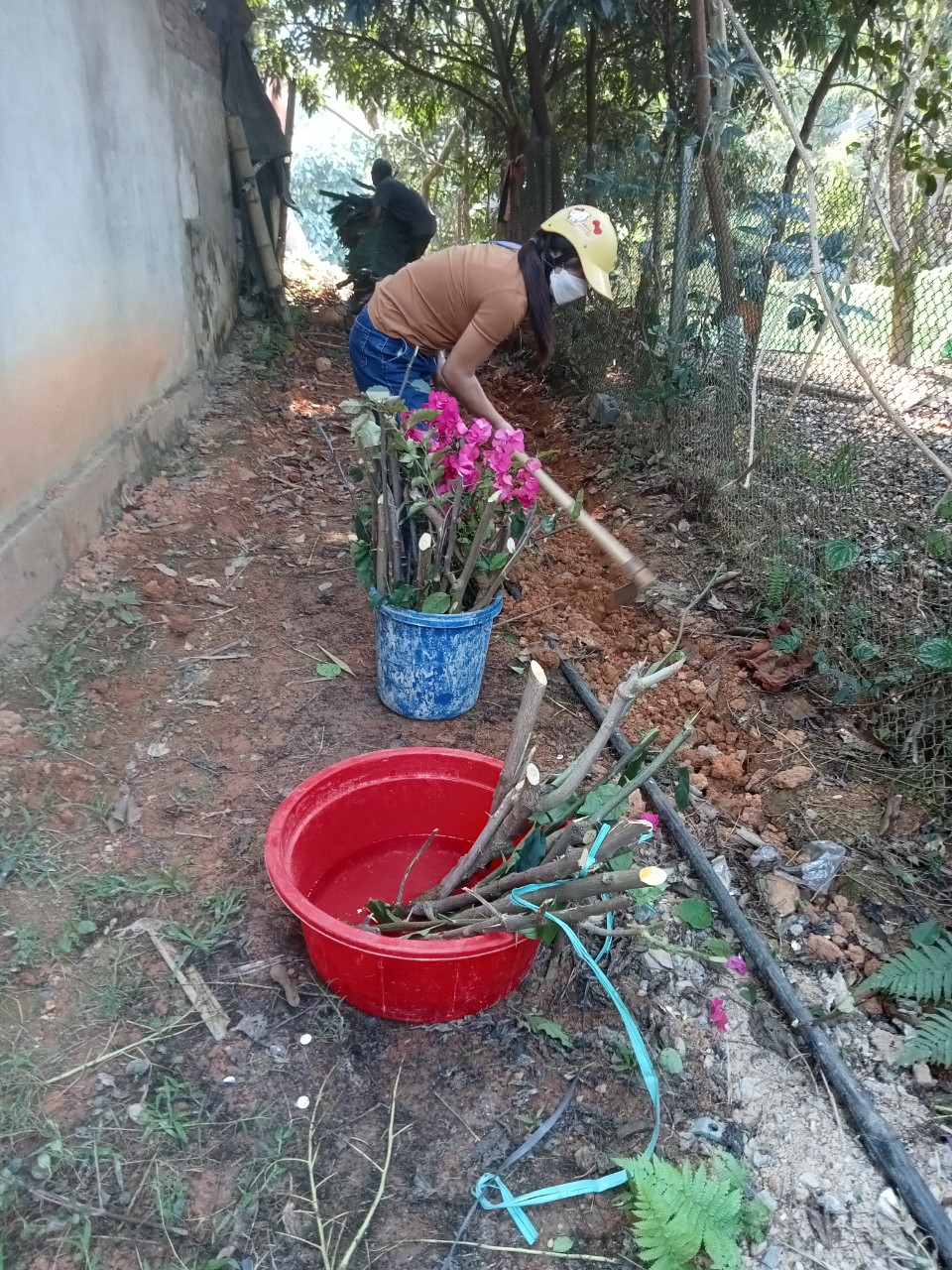 bà yêm ươm hoa.jpg