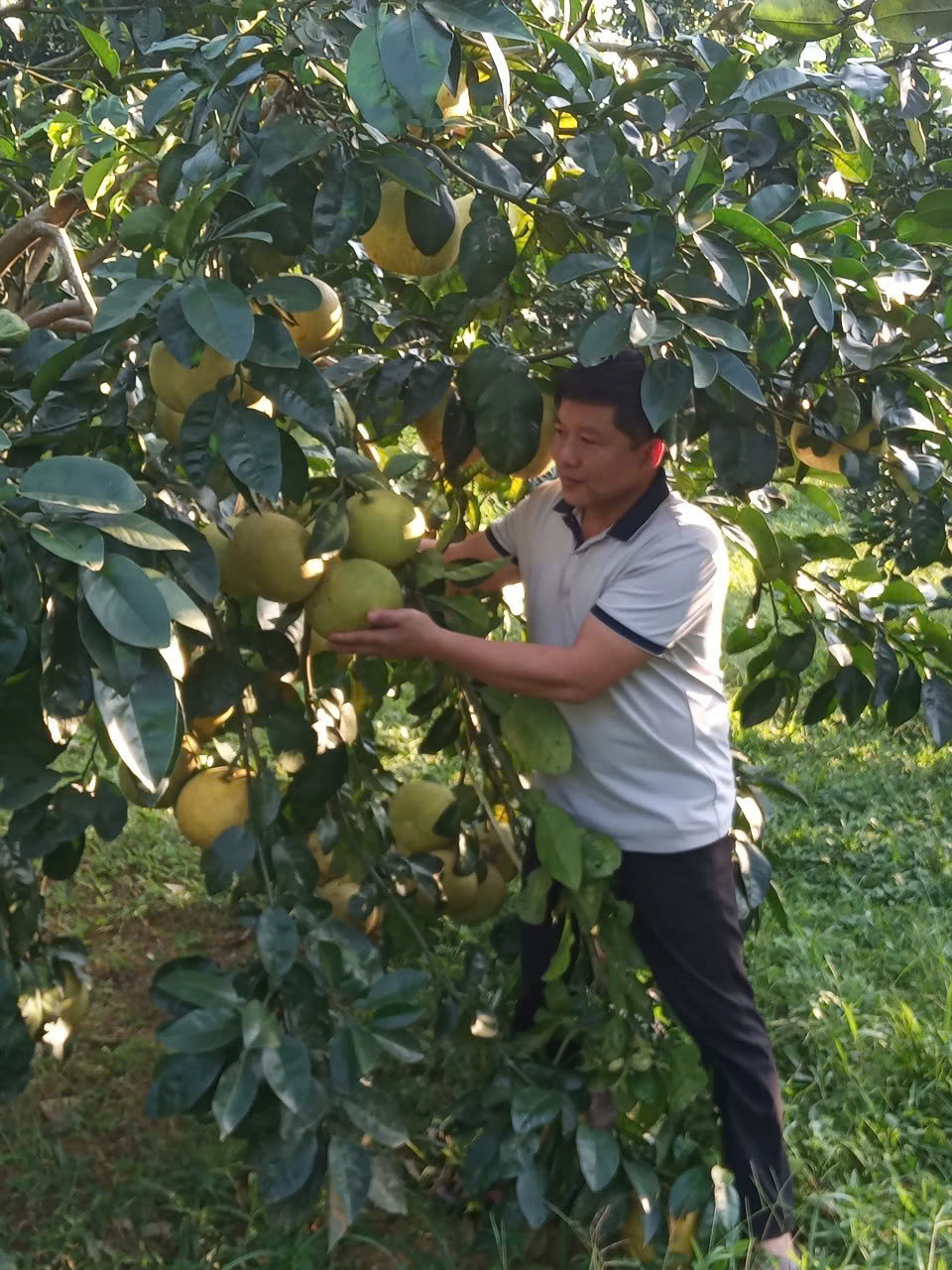 D:\NĂM 2024\NĂM 2024\CHUYỂN ĐỔI SỐ\HỒ SƠ MINH CHỨNG THÊM\HỒ SƠ SẮP XẾP LẠI\BÁO CÁO CHUYỂN ĐỔI SỐ MỚI NHẤT\ẢNH 2.jpg