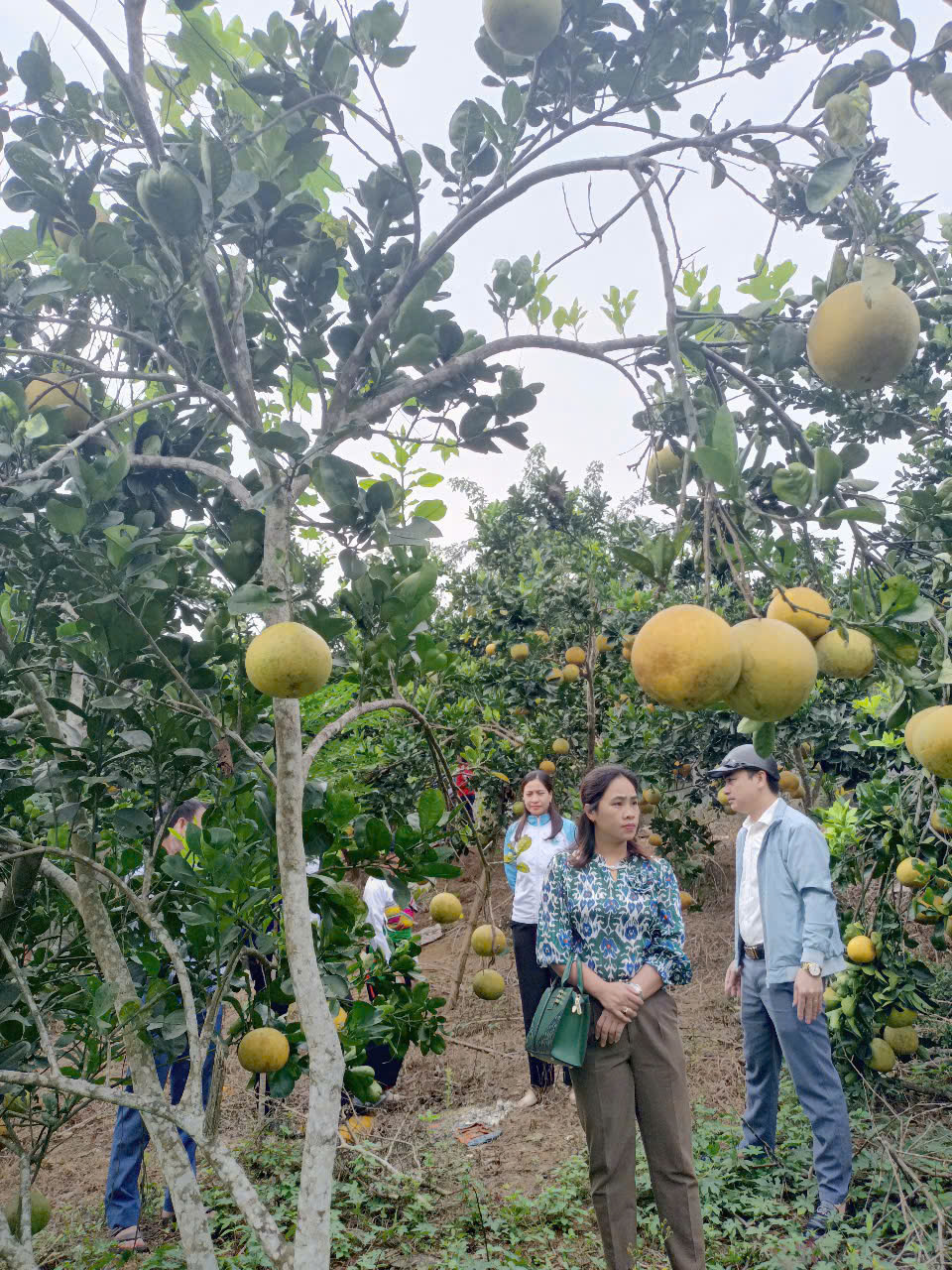 D:\NĂM 2024\NĂM 2024\CHUYỂN ĐỔI SỐ\HỒ SƠ MINH CHỨNG THÊM\HỒ SƠ SẮP XẾP LẠI\BÁO CÁO CHUYỂN ĐỔI SỐ MỚI NHẤT\ẢNH 3.jpg