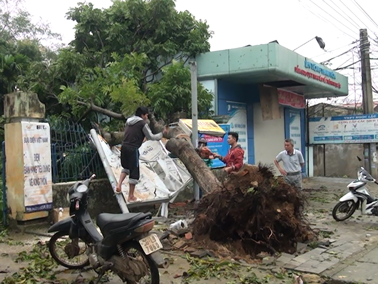 Gió lốc và mưa đá đã gây thiệt hại nặng nề tại huyện Ngọc Lặc, ước tính lên đến 17 tỷ đồng