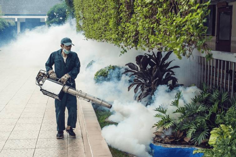 Bộ Y tế thông tin về bệnh gây đau, viêm khớp do lây từ muỗi Aedes- Ảnh 2.