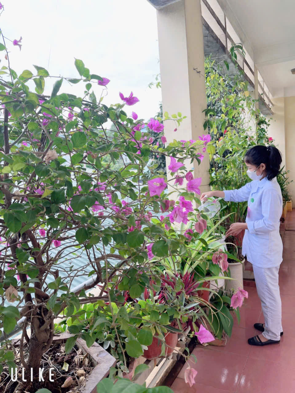 A child wearing a mask and standing next to a plant
AI-generated content may be incorrect.