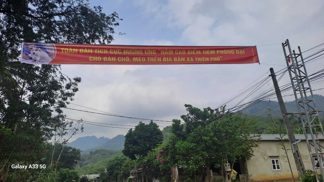 Lưu đo 5.jpg